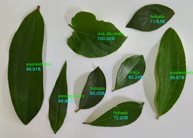 A image from the dataset