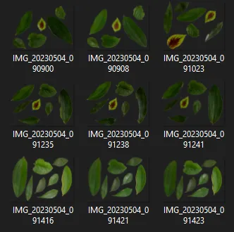 Pre-pruned images