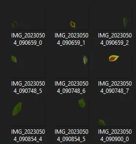 Pruned images